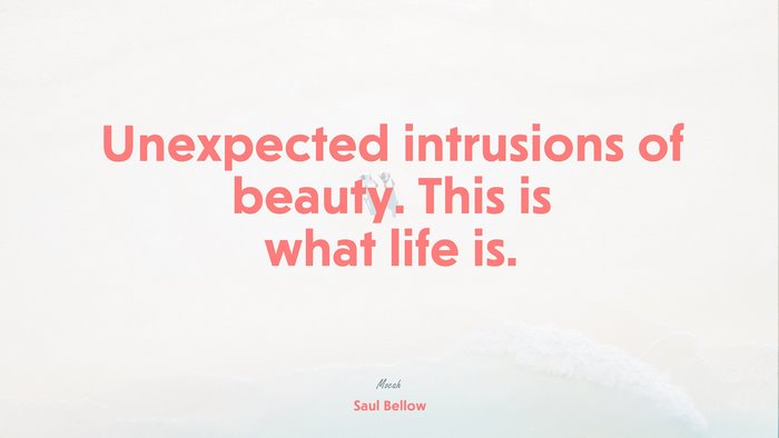 best life quote, Saul Bellow quote