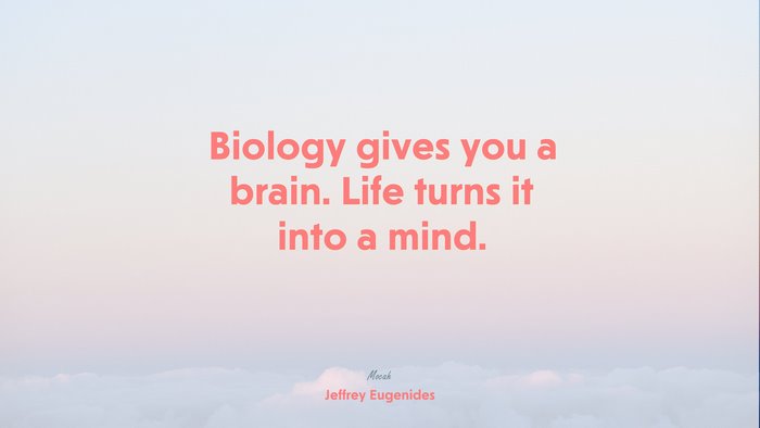 life quote hd, Jeffrey Eugenides quote