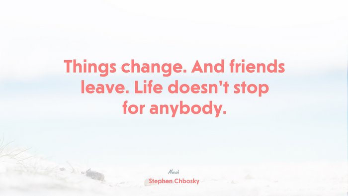 life quote, Stephen Chbosky quote