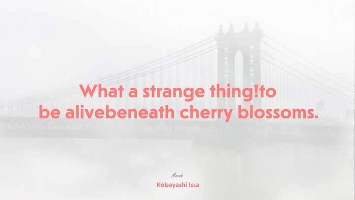 life quote, Kobayashi Issa quote
