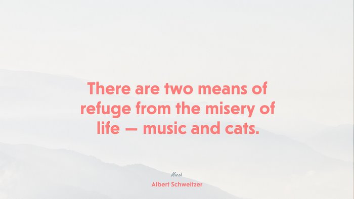 hd on life quote, Albert Schweitzer quote