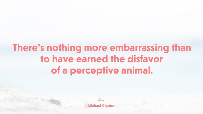 nice life quote, Michael Chabon quote