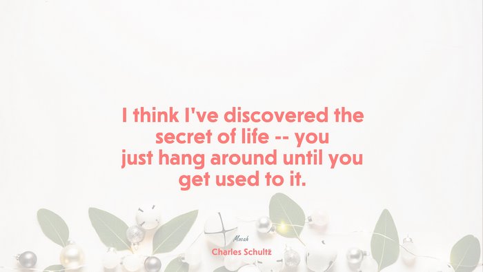 life related quote, Charles Schultz quote