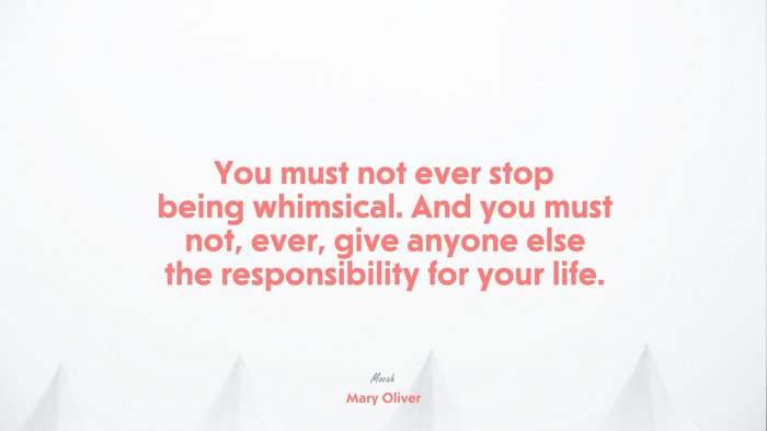 awesome life saying quote, Mary Oliver quote