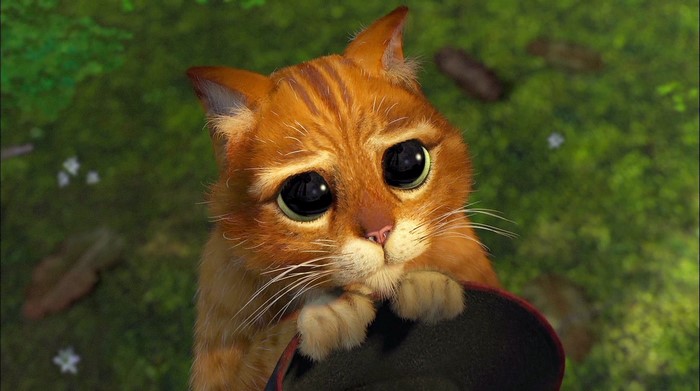 Puss in Boots from Shrek with big eyes