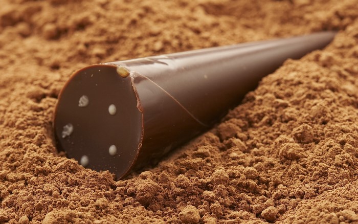Chocolate truffle in cocoa powder