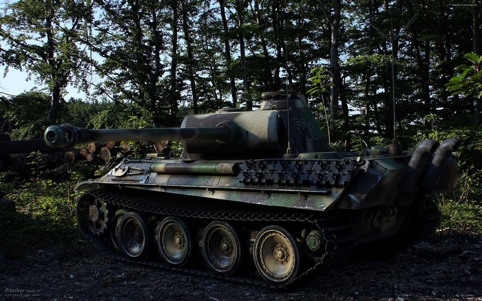 Panther tank in a forest