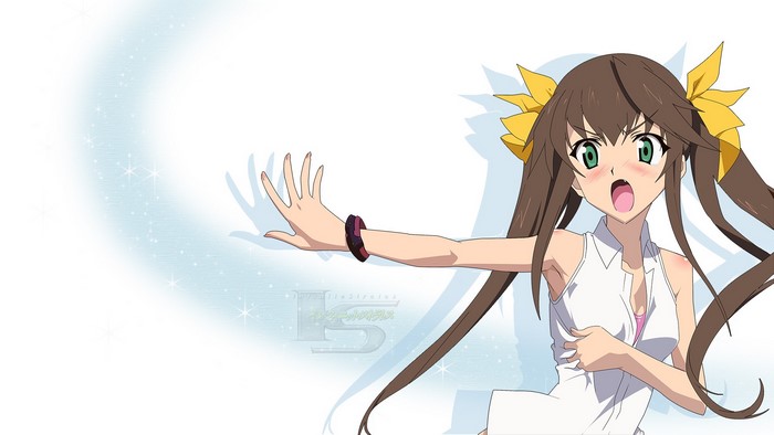 Chifuyu Orimura from IS: Infinite Stratos