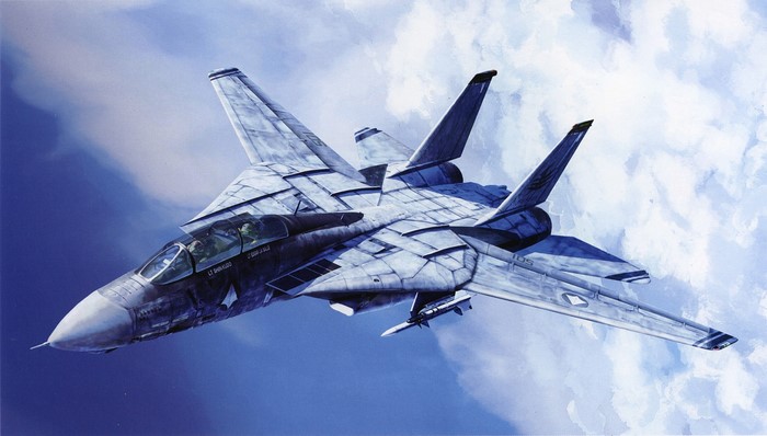 F-14 Tomcat Fighter Jet in Flight