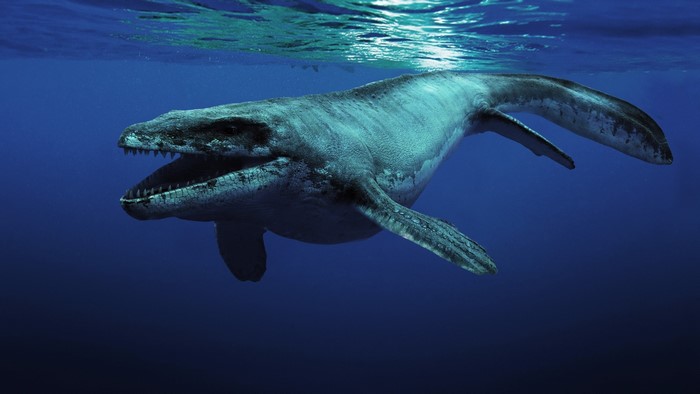Mosasaurus swimming underwater
