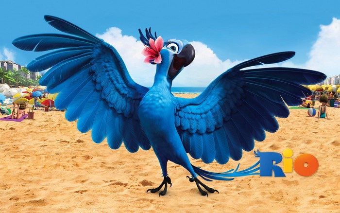 Blu the macaw from Rio on a beach