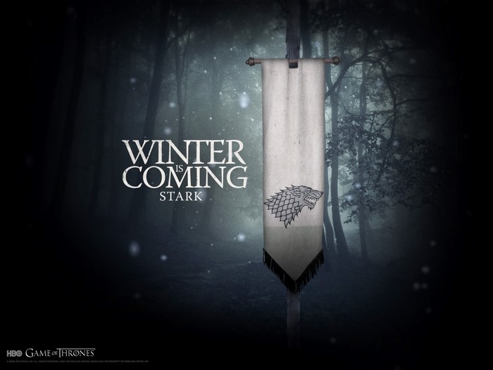 Game of Thrones Stark Winter is Coming Banner