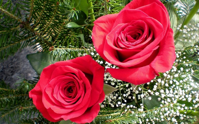 Two red roses with greenery and baby's breath