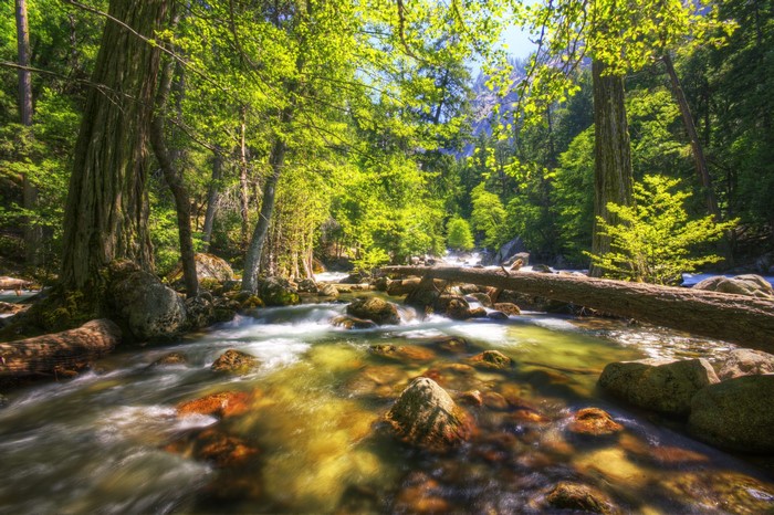 Yosemite National Park River