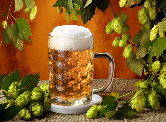 Beer mug with hops