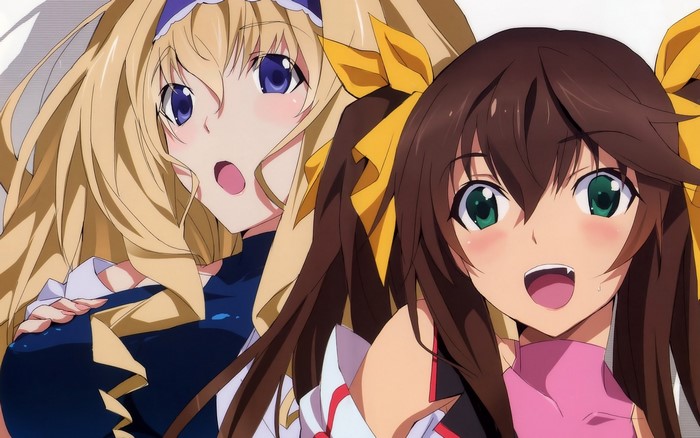 Chifuyu Orimura and Houki Shinonono from Infinite Stratos