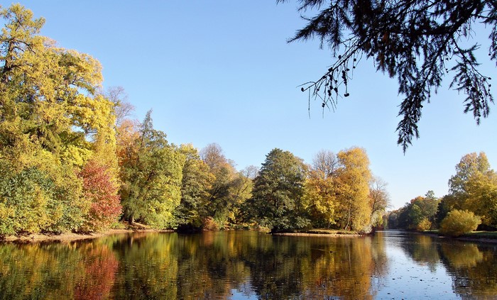Autumn trees reflected in a calm river