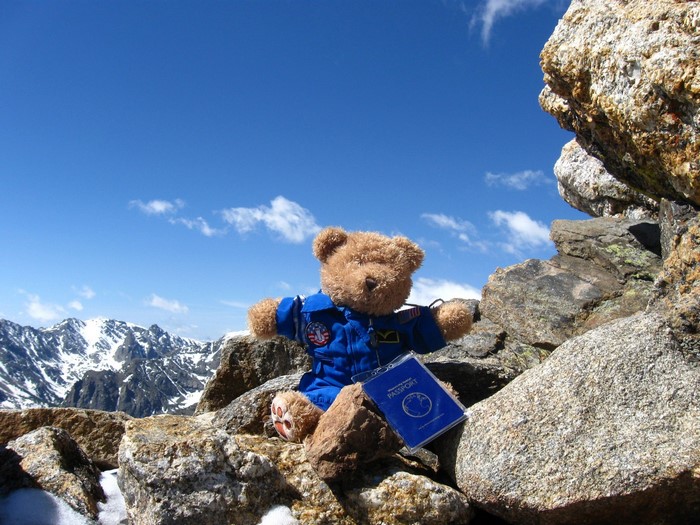 Teddy bear in astronaut suit with passport on mountain