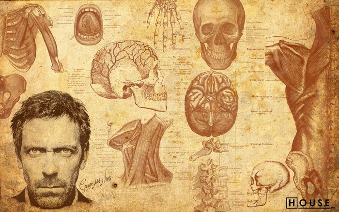 Hugh Laurie from House M.D. with anatomical drawings
