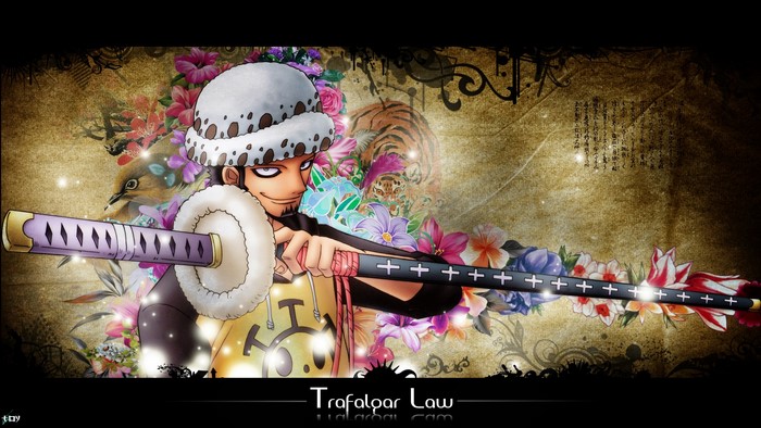 Trafalgar Law from One Piece