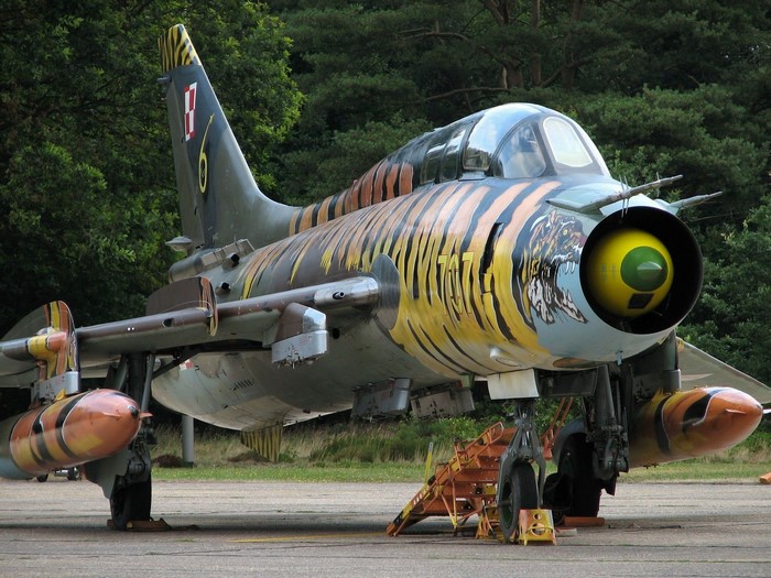 Fighter airplane with tiger stripes and tiger artwork