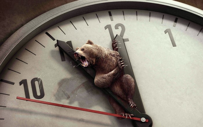 Bear clinging to clock hands