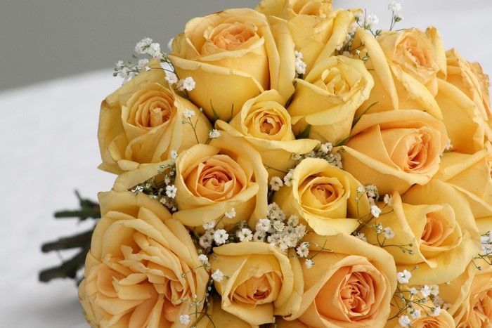 Yellow Roses and Baby's Breath Bouquet