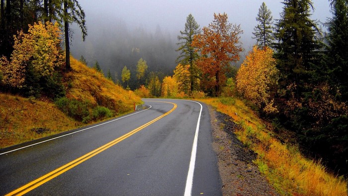 Winding Road Through Autumn Forest