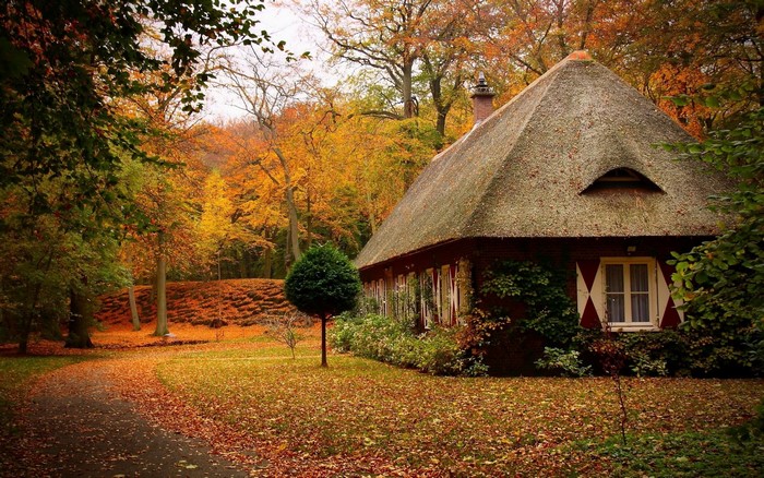 Thatched roof cottage in autumn forest