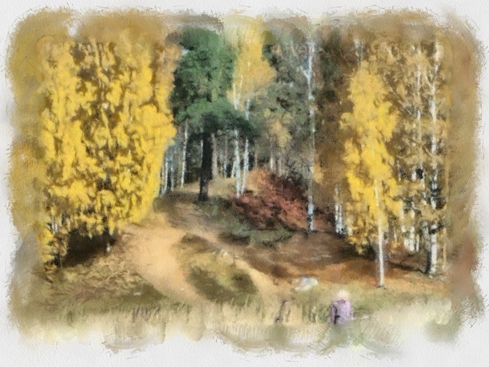 Autumn forest path with a person sitting