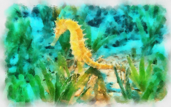 Yellow seahorse in underwater seagrass