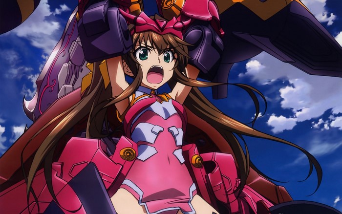 Chifuyu Orimura from Infinite Stratos