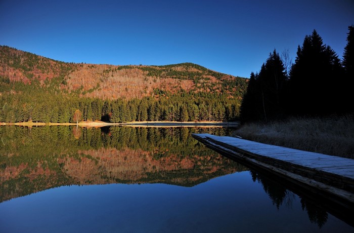 Lake reflection with wooden pier and autumn forest