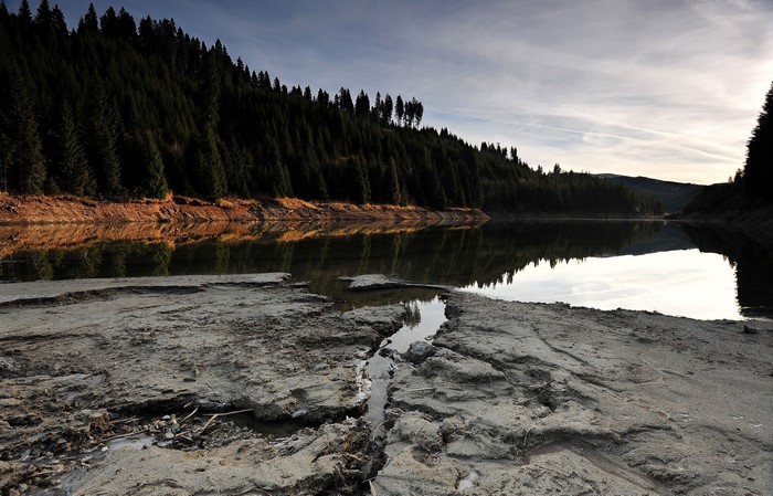 Lake with forest and dry shore