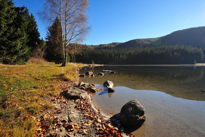 Lake with trees and hills
