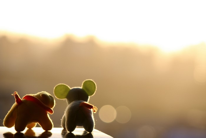 Two stuffed toys looking at the sunset