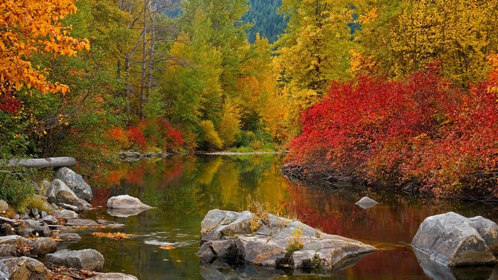Autumn river with colorful trees and rocks