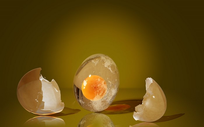 Eggshell fragments and a transparent egg with yolk