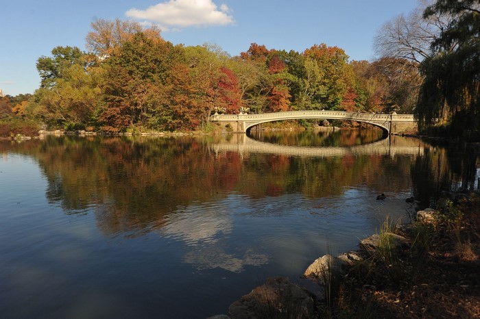Bridge over a lake with autumn trees