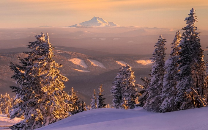 Snow-covered trees and mountains at sunset