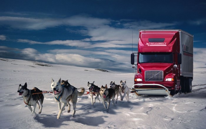 Husky dogs pulling a red truck through snow