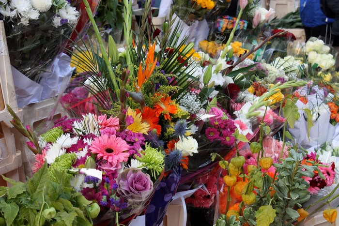 Assortment of colorful flower bouquets