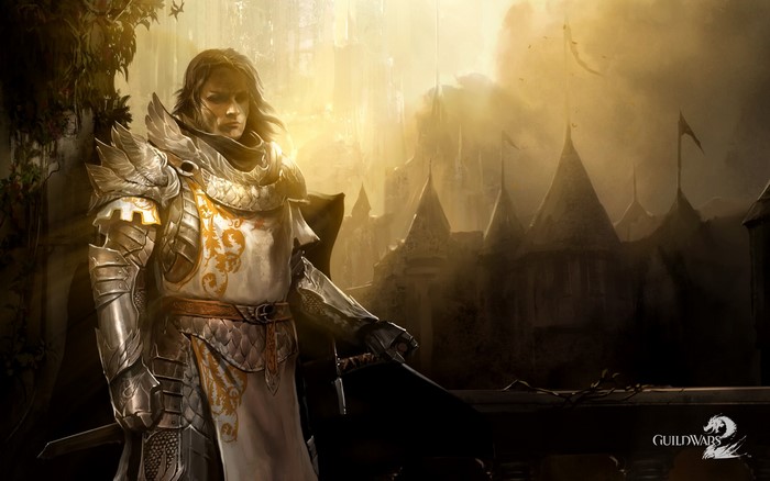 Knight from Guild Wars 2