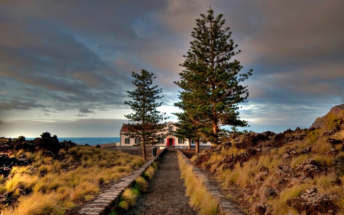 Path to a white house with red doors between pine trees