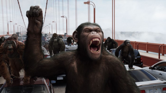 Caesar and apes on Golden Gate Bridge in Rise of the Planet of the Apes