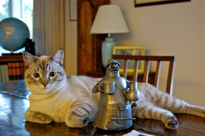 Cat and a metal figurine on a table
