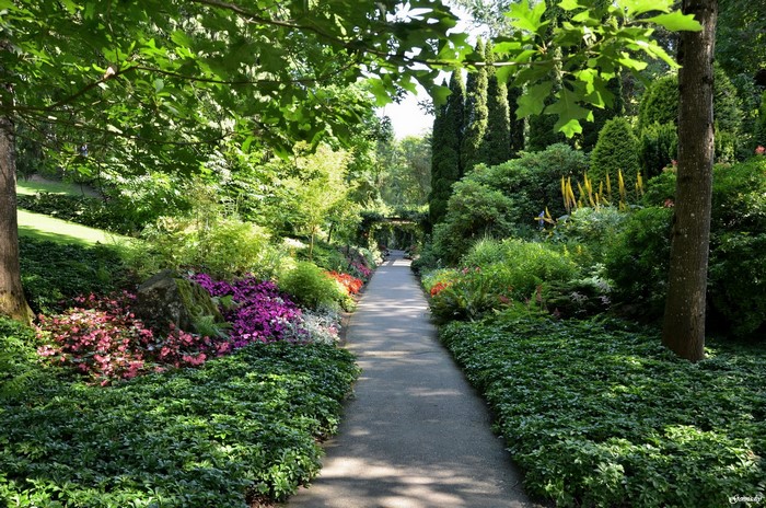 A paved path winds through a lush garden with colorful flowers.