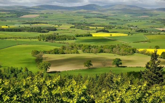 Rolling green hills and fields under a cloudy sky