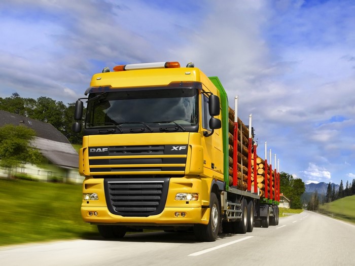 Yellow DAF XF Logging Truck on a Road