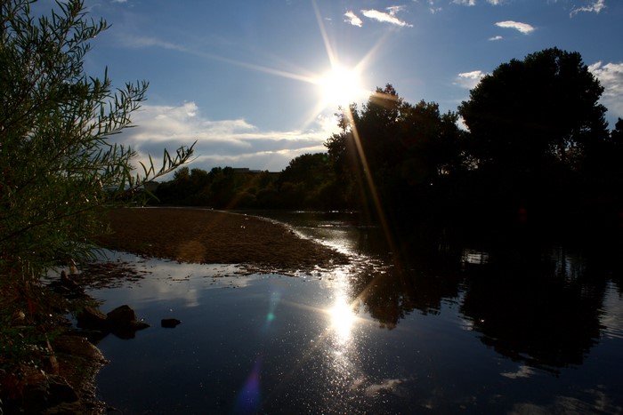 Sun shining over a river and trees